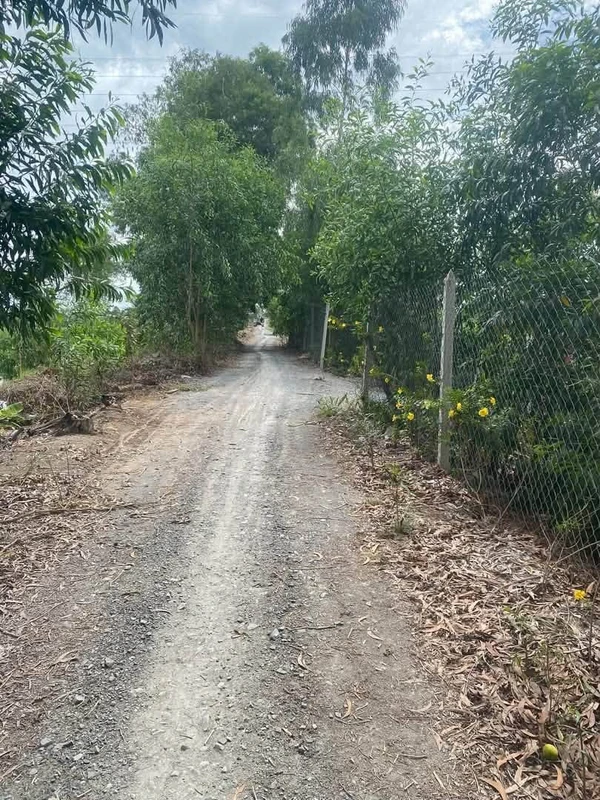 Bán đất 1.000m² view kênh tại Bình Đức, Bến Lức, Long An