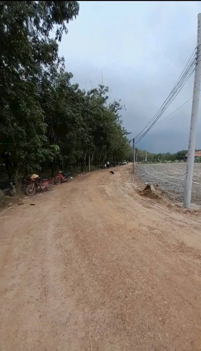 Bán đất thổ cư 250m² Tân Phong 129 triệu - Ảnh 1