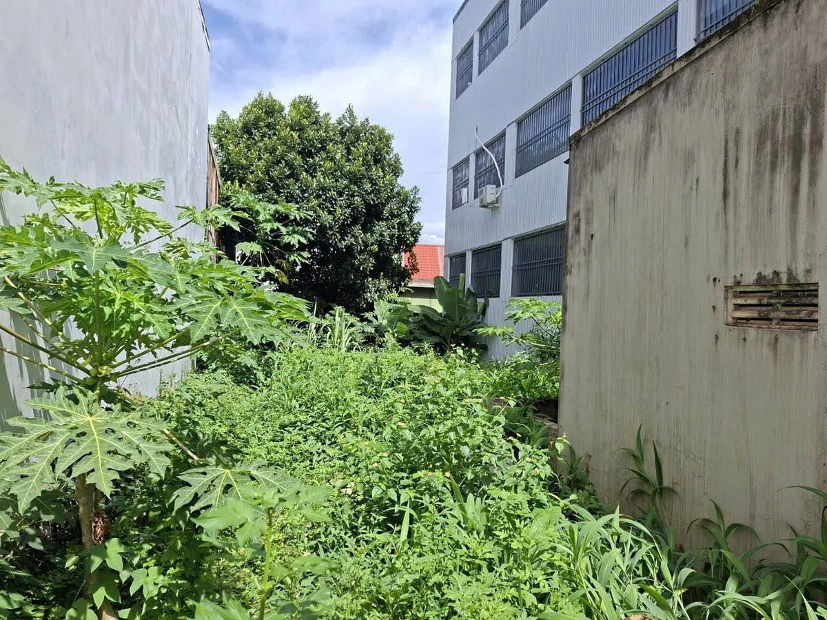 Bán đất hẻm Đỗ Nhuận, 296 m², Tân Lợi, Bình Minh - Ảnh thu nhỏ 4