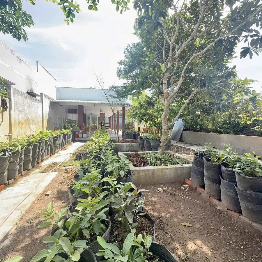 Bán nhà Phú Hưng, Bến Tre, 745m, 2 tỷ 200 triệu - Ảnh thu nhỏ 3
