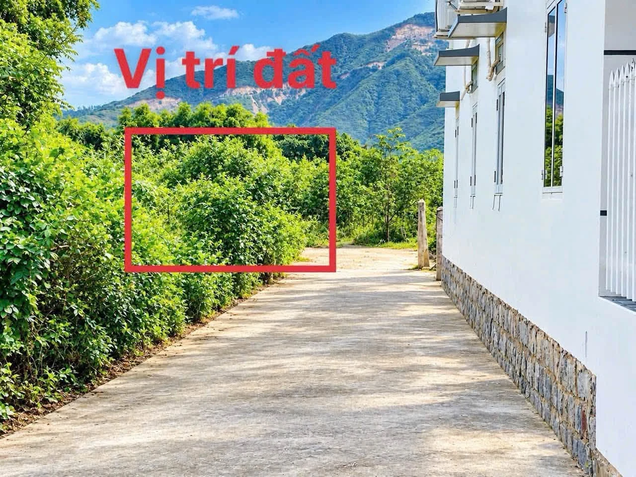 Bán đất dân cắt Diên Phú 67m² 580 triệu - Ảnh 1