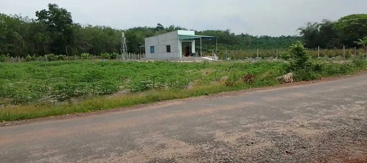 Bán đất mặt tiền đường nhựa 256,5m2 giá 350 triệu tại Xã Thạnh Đông, Tân Châu, Tây Ninh - Ảnh 1