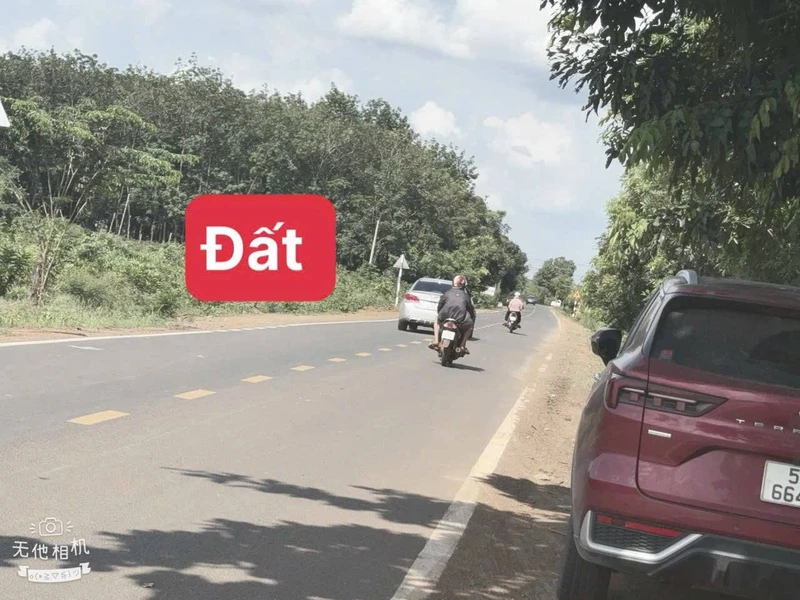 Bán đất mặt tiền Tân Hưng Đồng Nai 300 m²