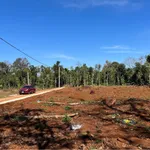 Bán đất Hoà Thuân Nhà Bè 125m² giá 535 triệu - Ảnh thu nhỏ 3