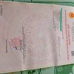 Bán đất Quảng Ngãi 265m² gần biển 69 triệu - Ảnh thu nhỏ 3