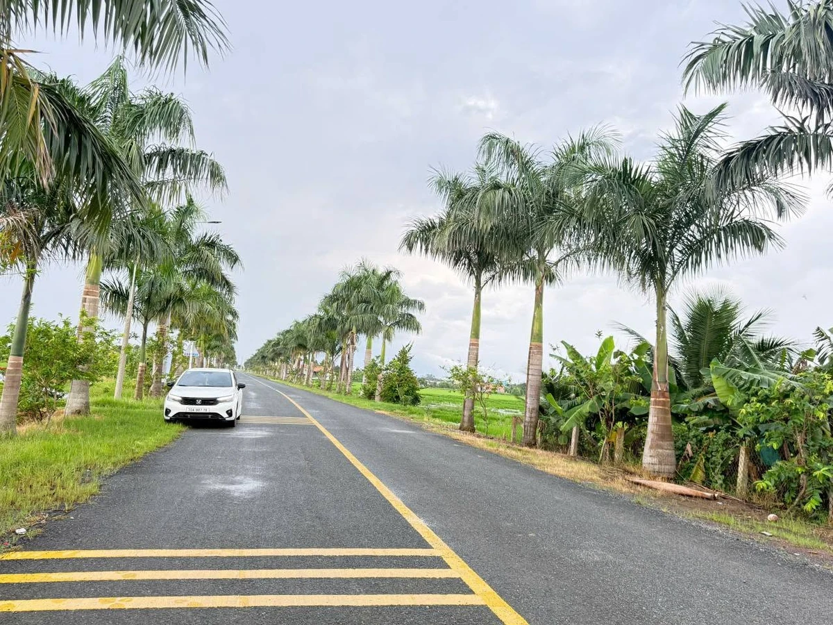 Bán 2 lô đất mặt tiền Nguyễn Hoàng Anh, 125m2, Tân Trụ 1,3 tỷ - Ảnh thu nhỏ 3