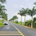 Bán 2 lô đất mặt tiền Nguyễn Hoàng Anh, 125m2, Tân Trụ 1,3 tỷ - Ảnh thu nhỏ 3