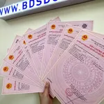 Bán đất nền Bình Minh Giang Điền 90m² 920 triệu Đồng Nai - Ảnh thu nhỏ 4