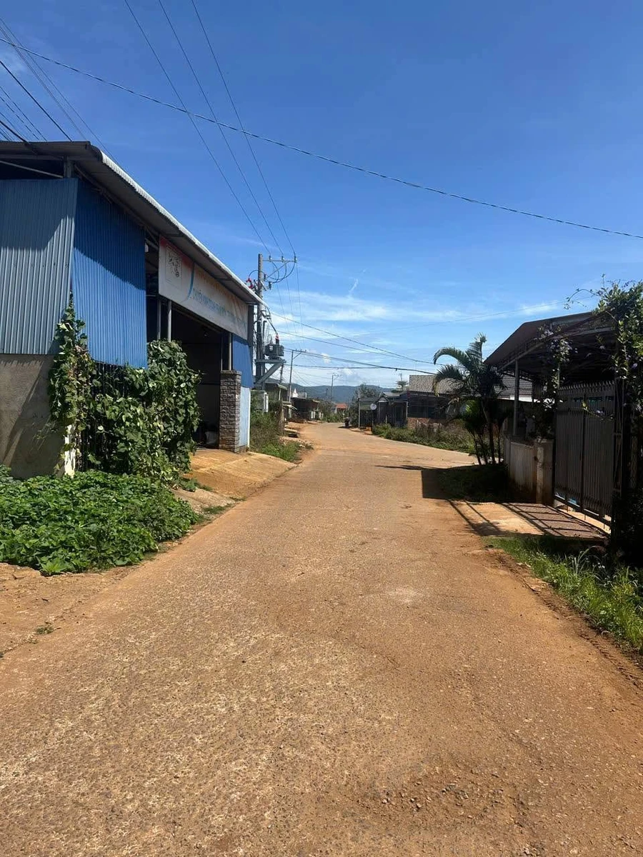 Bán đất Suối Thông C Đơn Dương Lâm Đồng 301m2 - Ảnh thu nhỏ 4