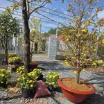 Bán đất mặt tiền đường 3/2 10x100 1000m2 (300m2 thổ cư) gần trường cấp 2 Hậu Nghĩa - Ảnh thu nhỏ 1
