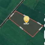 Bán đất ruộng hơn 6 công tại Trà Vinh - Ảnh thu nhỏ 4