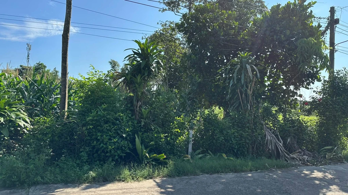 Bán đất 200m² (5x40m) Phường Xuân Lộc Bình Dương 650 triệu - Ảnh thu nhỏ 3