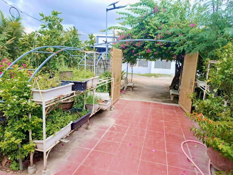 Bán nhà vườn Long Bình Phan Rang Khánh Hòa 4300m2 5 tỷ