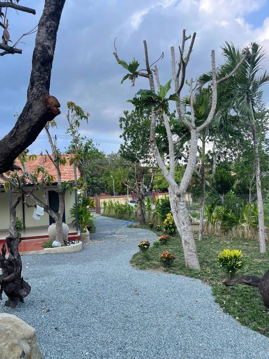 Bán nhà vườn Diên Đồng Diên Khánh 921m² giá 2 tỷ 5 - Ảnh thu nhỏ 4