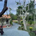 Bán nhà vườn Diên Đồng Diên Khánh 921m² giá 2 tỷ 5 - Ảnh thu nhỏ 4