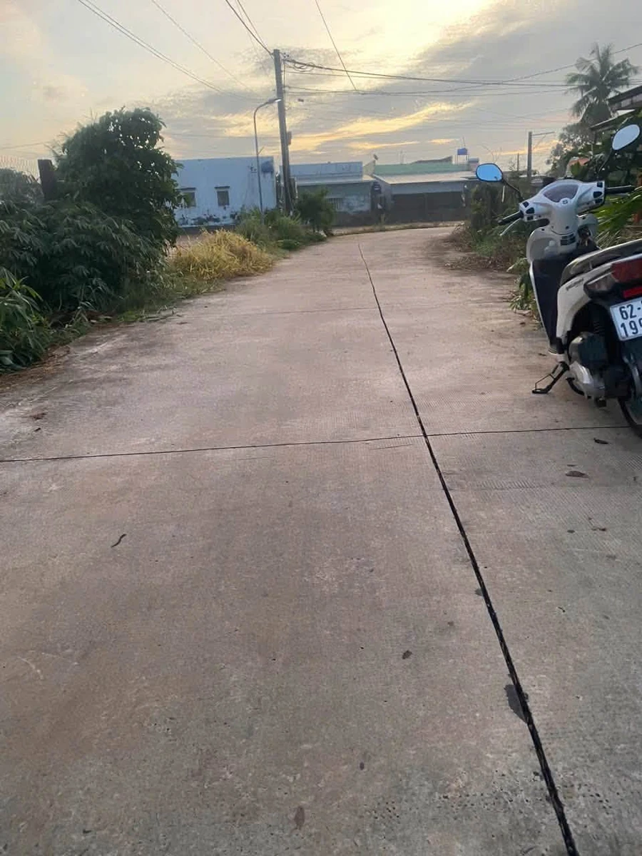 Bán đất lúa 1.500m² có 300m² thổ cư gần cổng chào cầu Trắng, đường Cao Thị Mai - Ảnh 1