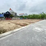 Đất trung tâm phường, cách trục chính chỉ 50m, tại Thủy Nguyên chỉ 390 triệu - Ảnh thu nhỏ 2