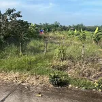 Bán 1000m² đất nền Hoà Phú, Châu Thành, Long An - Ảnh thu nhỏ 2