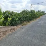 Bán đất tại Xã Tân Lập 1, Huyện Tân Phước, Tiền Giang, 6,9 tỷ, 7000 m2 hàng hiếm giá tốt - Ảnh thu nhỏ 10
