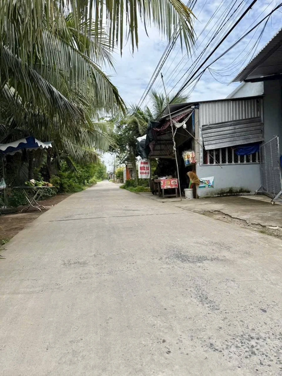 Bán đất mặt tiền 300m² Châu Thành, Bến Tre 1 tỷ 350 - Ảnh thu nhỏ 2