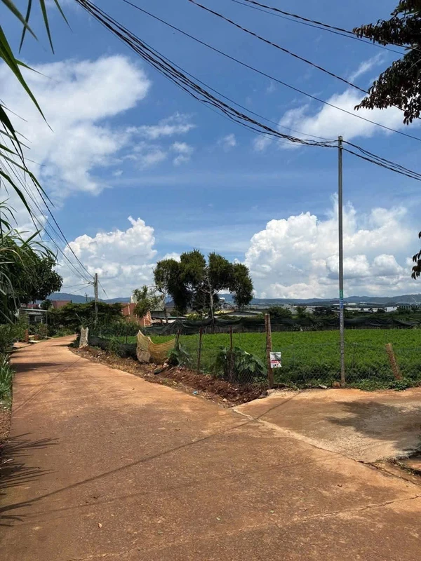 Bán đất 300m2 Suối Thông A Đạ Ròn Đơn Dương 799 triệu