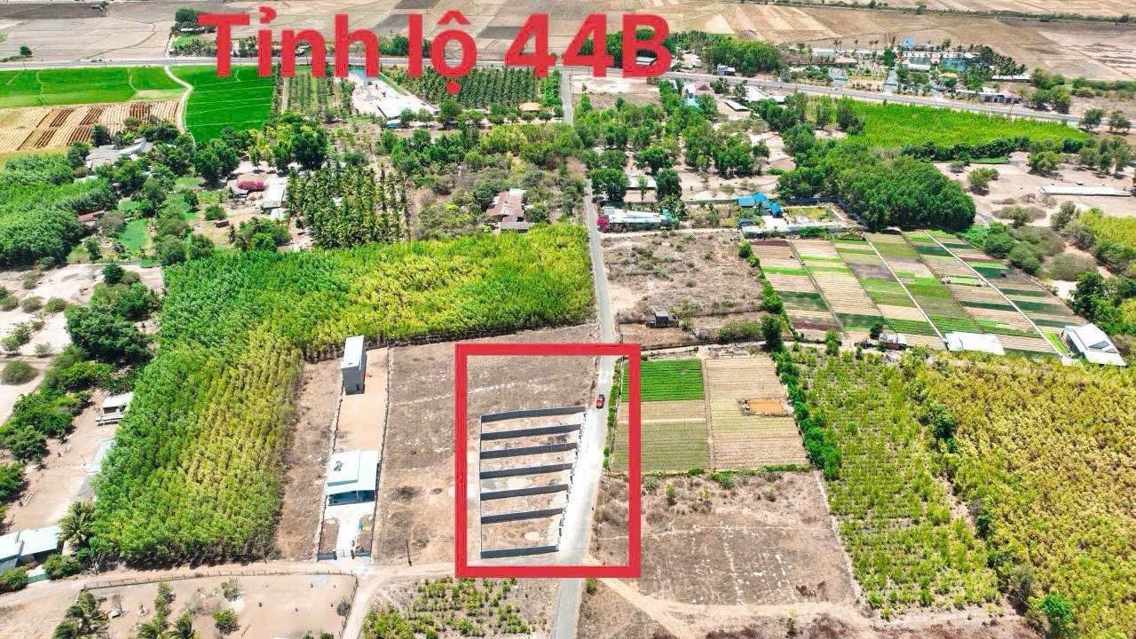 Bán 2 lô đất Phước Hải 180-198m2 gần biển 1 tỷ 550 - Ảnh thu nhỏ 2