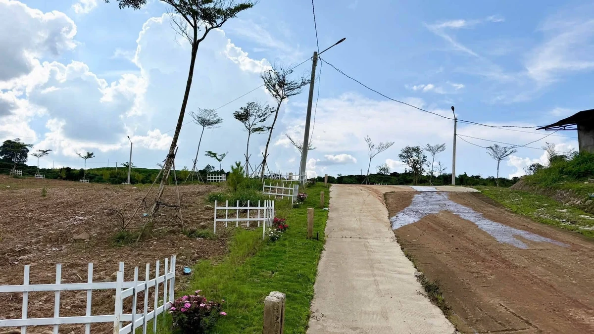 Bán đất 1.000m² giá 550 triệu, sổ riêng tại Đinh Văn, Lâm Hà, Lâm Đồng - Ảnh thu nhỏ 3