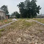 Bán lô đất 88m² mặt tiền ô tô Yên Bái Nhà Bè - Ảnh thu nhỏ 2