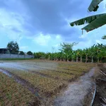 Bán đất mặt tiền Văn Tiến Dũng, Tân Hưng, 1089m2 - Ảnh thu nhỏ 5