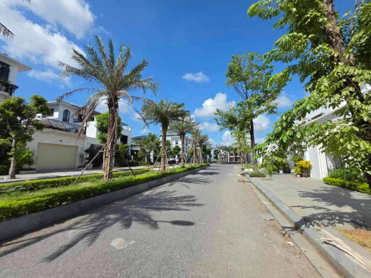 Bán biệt thự 254m² Làng Việt Kiều Quốc Tế Hải Phòng 1 tỷ - Ảnh thu nhỏ 3