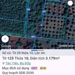 Bán đất 3200m² mặt tiền Ấp 6 Lộc An, Hóc Môn - 700 triệu - Ảnh thu nhỏ 1