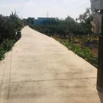 Bán đất 5x49m nền ô tô Bình Tâm 1 tỷ 250 triệu - Ảnh thu nhỏ 2