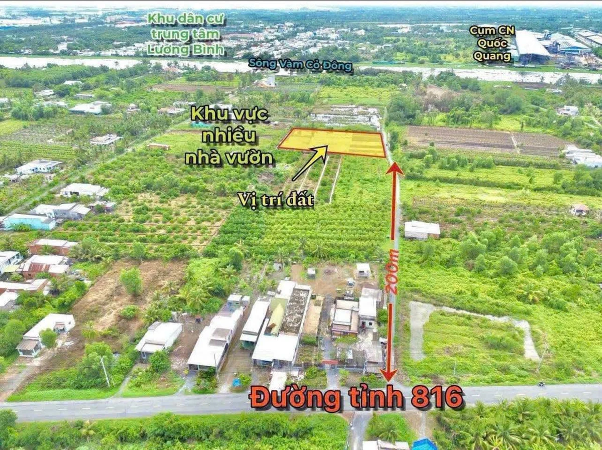 Bán đất vườn 3000m² Thạnh Hòa Bến Lức Long An giá 2 tỷ 550 - Ảnh thu nhỏ 5
