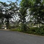 Bán nền đất 81m² đã đổ bê tông, mặt sông, Đồng Tháp - Ảnh thu nhỏ 4