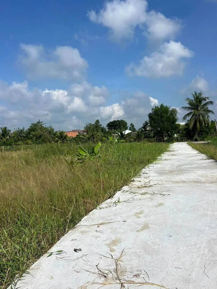 Bán đất thổ cư 5x29m An Lục Châu Thành Long An - Ảnh thu nhỏ 3