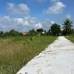 Bán đất thổ cư 5x29m An Lục Châu Thành Long An - Ảnh thu nhỏ 3