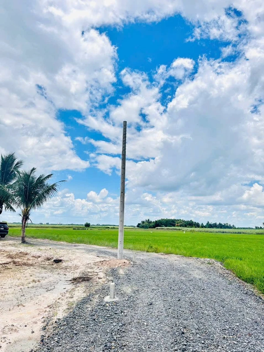 Bán đất 200m2 có 50m2 thổ cư, sổ riêng, giá 165 triệu tại Đồng Khởi, Châu Thành, Tây Ninh - Ảnh thu nhỏ 3