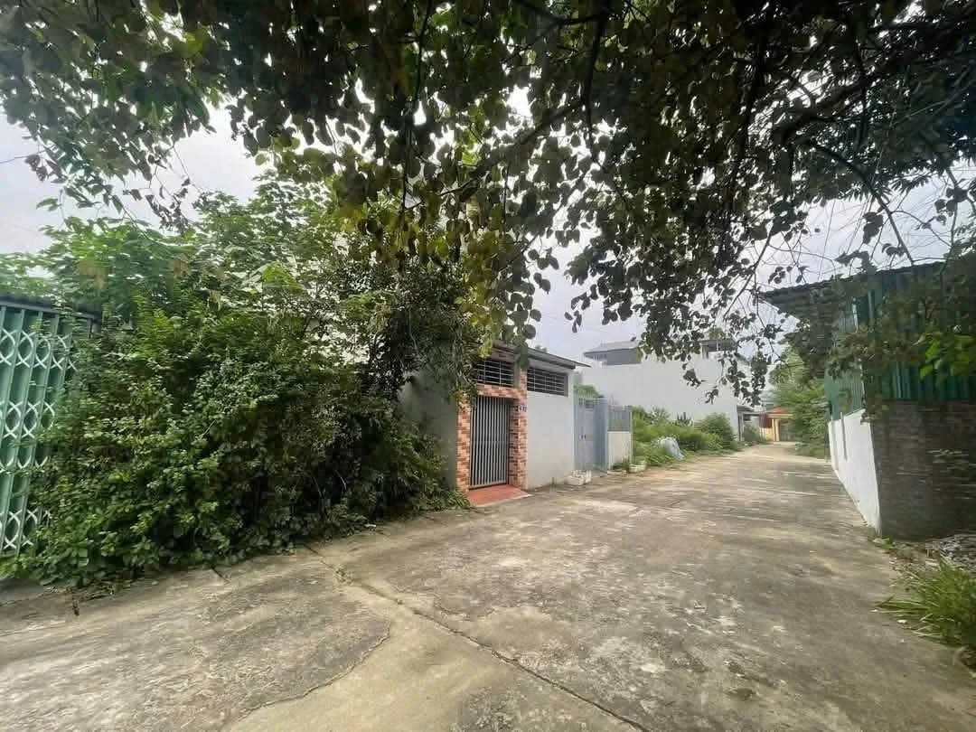 Bán đất Xuân Mai 80m² sổ đỏ riêng, giá 2 tỷ - Ảnh thu nhỏ 4