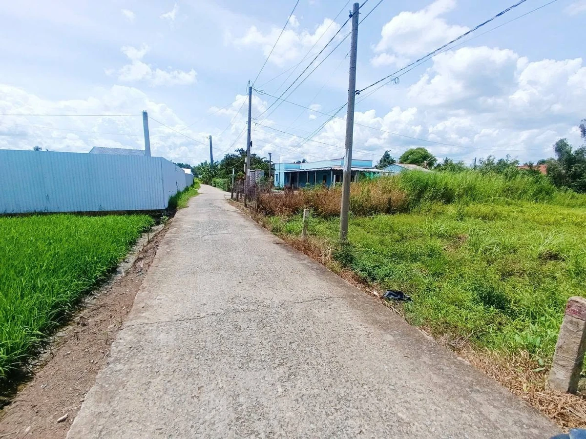 Bán lô đất thổ cư 135m² xã Đức Tân, Tân Trụ, Long An - Ảnh thu nhỏ 2