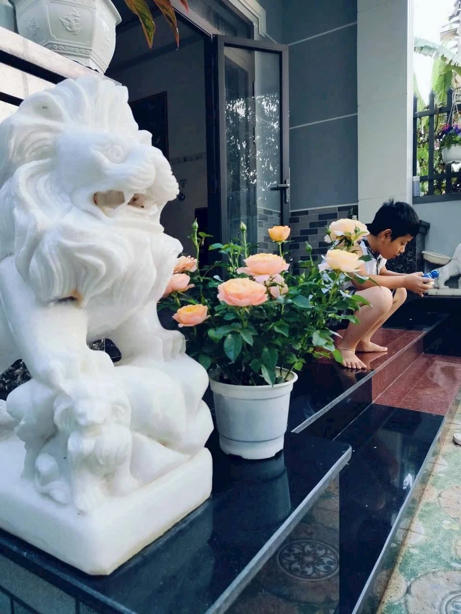Bán nhà mái Thái 185m² mặt tiền Tuyết Mai 5, Hòa Long - Ảnh thu nhỏ 4