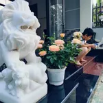 Bán nhà mái Thái 185m² mặt tiền Tuyết Mai 5, Hòa Long - Ảnh thu nhỏ 4