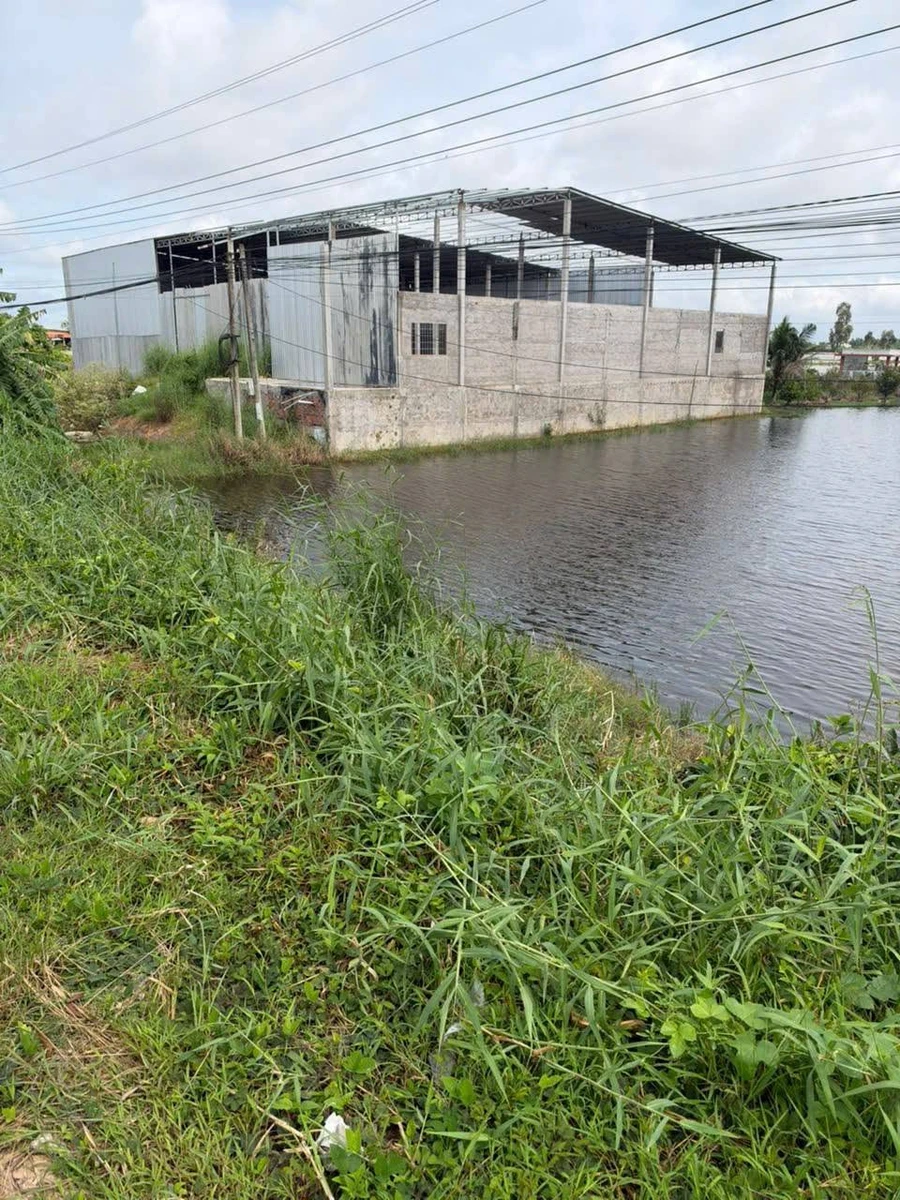 Bán đất lúa mặt tiền QL62, 12500 m², Long An, 13 tỷ - Ảnh thu nhỏ 2
