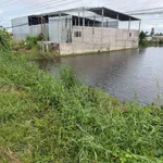 Bán đất lúa mặt tiền QL62, 12500 m², Long An, 13 tỷ - Ảnh thu nhỏ 2