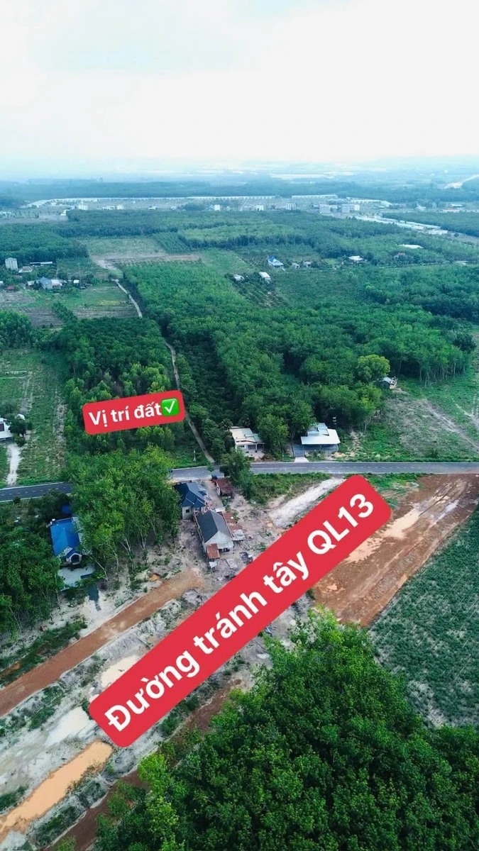 Bán đất nhánh đường Minh Hưng Bình Chánh 175m2 - Ảnh thu nhỏ 2