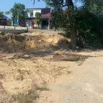 Bán lô đất 150m Bùi Thế Đạt, Bình Tân, giá 2,73 tỷ - Ảnh thu nhỏ 2