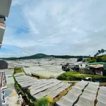 Bán nhà mới xây 3 phòng ngủ 120m² Đà Lạt 3.1 tỷ - Ảnh thu nhỏ 5
