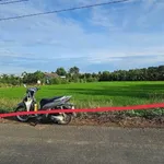 Bán đất 3.911m² Long An/Tây Ninh, sát cao tốc TP.HCM - Trung Lương - Ảnh thu nhỏ 5