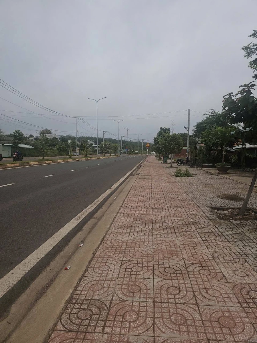 Bán lô đất mặt tiền Phan Bội Châu 360m² Đồng Nai - Ảnh thu nhỏ 2