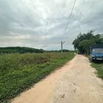 Bán đất trồng cây 271m² Phong Thái Huế 75 triệu - Ảnh thu nhỏ 3