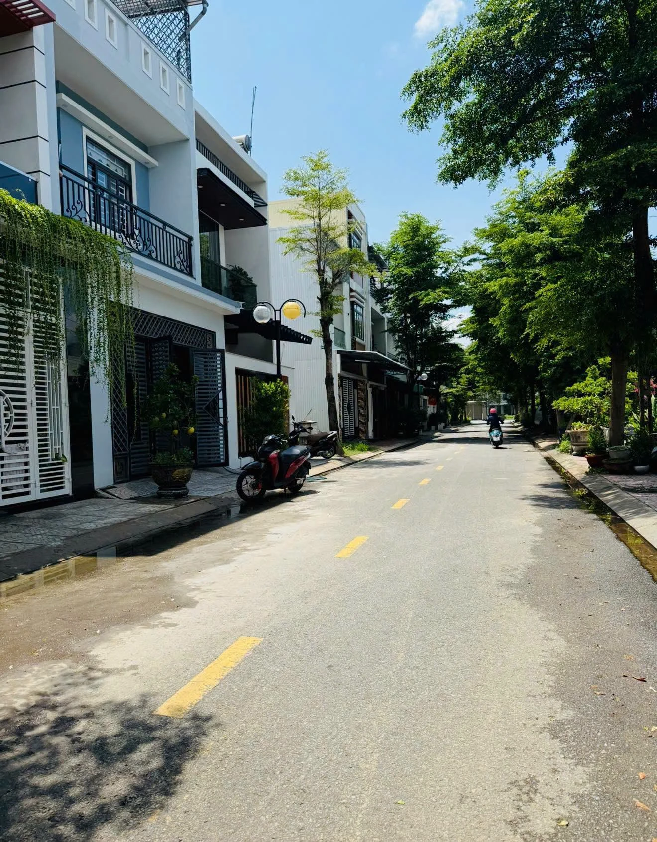 Bán lô đất mặt tiền 80m2 An Phú Sinh, Quảng Ngãi - Ảnh 1